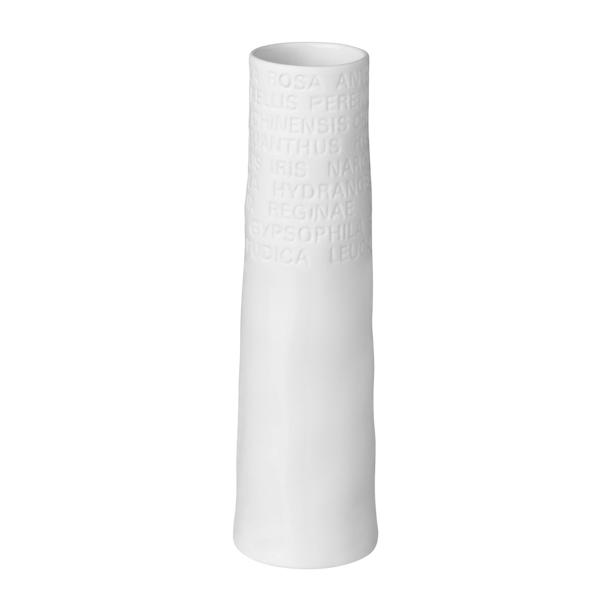 Vase | Room Poetry | Small