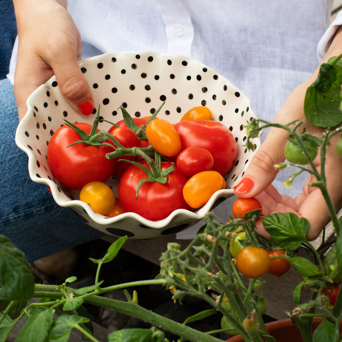 Scalloped Mono Spots Bowl | 20cm