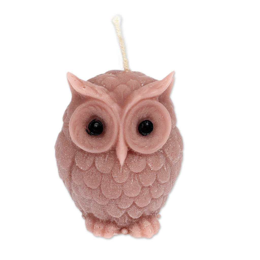 Owl-Shaped Brown Paraffin Wax Candle Handcrafted in Mexico - Sage Owl